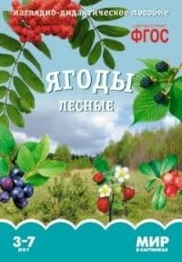 ФГОС.Мир в картинках. Ягоды лесные. - купить в магазине Кассандра, фото, 9785431505911, 