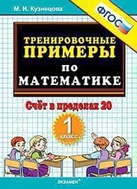 5000.Тренировочные примеры по математике 1кл.Счет в пределах 20.ФГОС НОВЫЙ - купить в магазине Кассандра, фото, 9785377210146, 