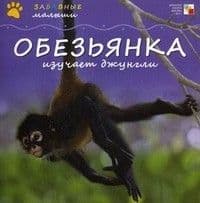 Забавные малыши.Обезьянка изучает джунгли - купить в магазине Кассандра, фото, 9785867757748, 
