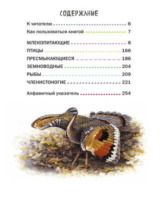 Все животные с крупными буквами- купить в магазине Кассандра, фото, 9785699909131, 