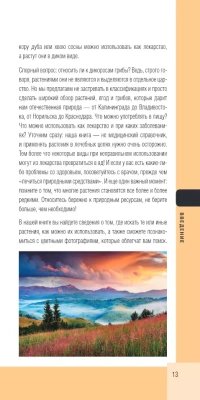 Лесной гид: грибы, ягоды, травы. Карманный атлас-определитель- купить в магазине Кассандра, фото, 9785699997015, 