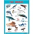 Плакаты (англ). Sea Animals (Морские обитатели) - купить в магазине Кассандра, фото, 9785431510090, 