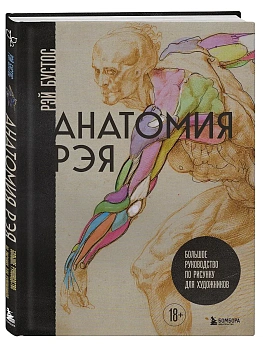 Анатомия Рэя. Большое руководство по рисунку для художников - купить в магазине Кассандра, фото, 9785042079870, 