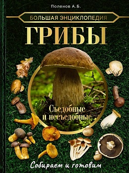 Большая энциклопедия. Грибы. Съедобные и несъедобные. Собираем и готовим. - купить в магазине Кассандра, фото, 9785171495602, 