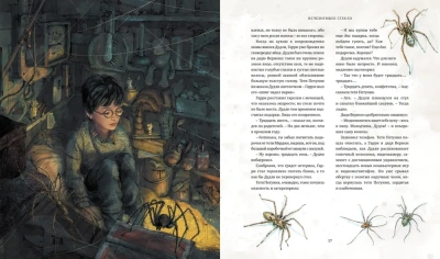 Гарри Поттер и философский камень (с цветными иллюстрациями)- купить в магазине Кассандра, фото, 9785389108189, 
