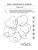 Импортировано из Wildberries Импортировано из Wildberries