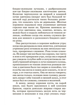 Красный цветок. Сказки и рассказы.- купить в магазине Кассандра, фото, 9785907546448, 