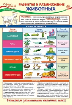 Плакат А3. Окружающий мир в начальной школе. Развитие и размножение животных - купить в магазине Кассандра, фото, 4630111201443, 