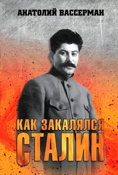 Как закалялся Сталин - купить в магазине Кассандра, фото, 9785448448492, 