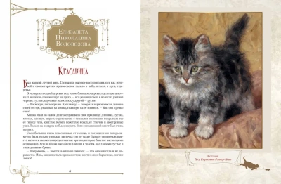 Пушистые и веселые истории о котах и кошках- купить в магазине Кассандра, фото, 9785001853305, 