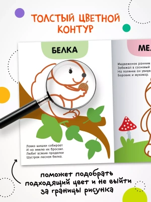 Раскраски с цветным контуром. В лесу- купить в магазине Кассандра, фото, 9785431537509, 