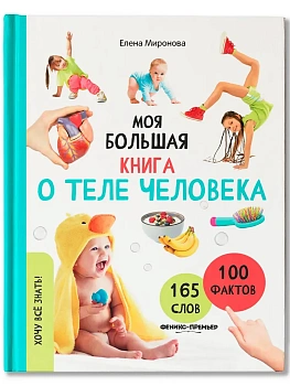 Моя большая книга о теле человека - купить в магазине Кассандра, фото, 9785222453438, 