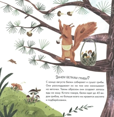 Книжный клуб. Почитаем вместе? Подсказки в сказке. Куда исчезла Капелька?- купить в магазине Кассандра, фото, 9785431536755, 