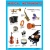 Плакаты (англ). Musical Instruments (Музыкальные инструменты)- купить в магазине Кассандра, фото, 9785431510069, 