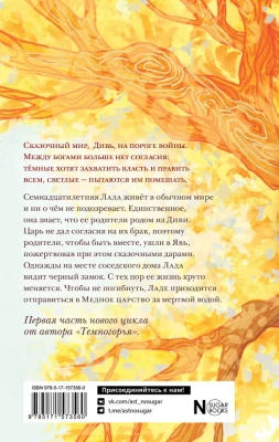 Младшие боги. Пункт назначения - месть- купить в магазине Кассандра, фото, 9785171573560, 