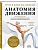 Функциональная анатомия движения. Руководство по анализу биомеханики и работе с миофасциальными меридианами - купить в магазине Кассандра, фото, 9785042016974, 