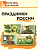 Вако. Школьный словарик. Праздники России - купить в магазине Кассандра, фото, 9785408065844, 