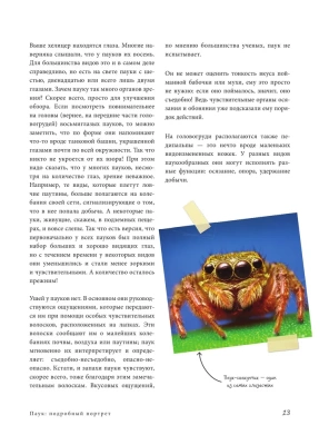 Пауки. Познавательная иллюстрированная энциклопедия для всей семьи- купить в магазине Кассандра, фото, 9785699762286, 