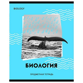 Тетрадь предметная 40л. BG "Neon" - Биология, неоновый пантон, эконом - купить в магазине Кассандра, фото, 4690326255862, 