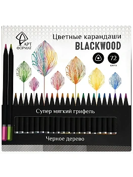 Набор акварельных карандашей АРТформат Blackwood 36 цв. трехгран. корп. дерев. карт - купить в магазине Кассандра, фото, 4602723195542, 