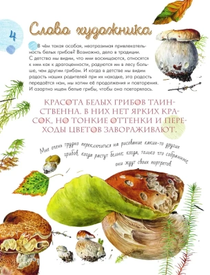 Грибы в лесу- купить в магазине Кассандра, фото, 9785171483005, 