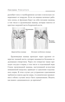 Практическая кинезиология: как перевоспитать мышцы-халтурщицы- купить в магазине Кассандра, фото, 9785171268077, 