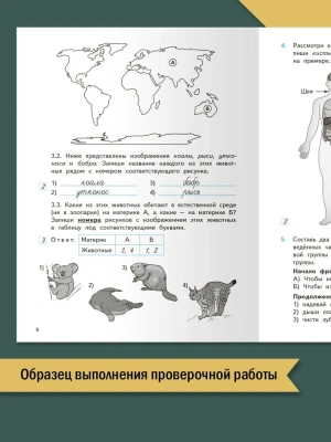ВПР.Окружающий мир 4кл.Всероссийская проверочная работа.ФИОКО.Новый ФГОС- купить в магазине Кассандра, фото, 9785408064236, 