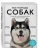 Все породы собак. Большая иллюстрированная энциклопедия- купить в магазине Кассандра, фото, 9785041130626, 