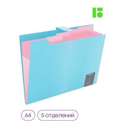 Папка 5 отделений Berlingo "Haze", А4, 600мкм, на кнопке, голубая, софт-тач- купить в магазине Кассандра, фото, 4260709080277, 