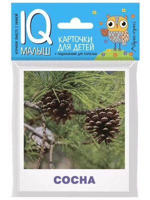 Умный малыш. Деревья- купить в магазине Кассандра, фото, 9785811265060, 