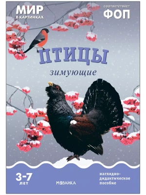 Фгос.Мир в картинках. Птицы зимующие- купить в магазине Кассандра, фото, 9785431515064, 