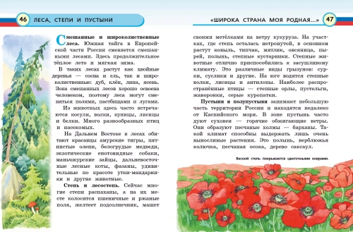Моя Россия. Книга юного патриота- купить в магазине Кассандра, фото, 9785041775353, 
