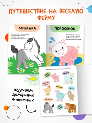 Раскраски с цветным контуром. В деревне- купить в магазине Кассандра, фото, 9785431537516, 
