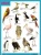 Плакаты (англ). BIRDS (Птицы)- купить в магазине Кассандра, 9785431508653, Плакаты (англ). BIRDS (Птицы)- купить в магазине Кассандра, фото, 9785431508653,