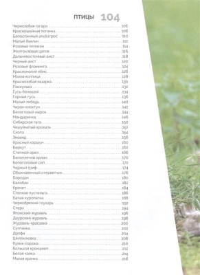 Красная книга России. Млекопитающие, птицы, рептилии, амфибии, рыбы, насекомые- купить в магазине Кассандра, фото, 9785041619947, 