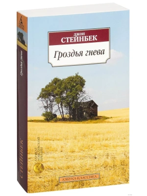 Гроздья гнева (мягк/обл.)- купить в магазине Кассандра, фото, 9785389049949, 