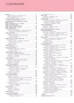 Полная энциклопедия.Птицы- купить в магазине Кассандра, фото, 9785699833405, 