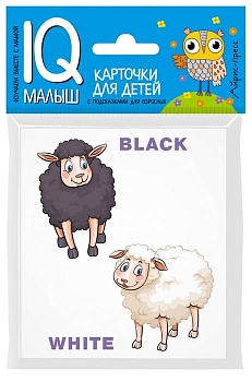 Умный малыш. ENGLISH. Противоположности. - купить в магазине Кассандра, фото, 9785811266609, 