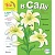 Прописи.В саду 6+. Интересно все вокруг - купить в магазине Кассандра, фото, 9785905984518, 