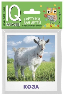 Умный малыш. Домашние животные- купить в магазине Кассандра, фото, 9785811265039, 