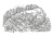 Ведьмина служба доставки. Кн.1- купить в магазине Кассандра, 9785389135109, Ведьмина служба доставки. Кн.1- купить в магазине Кассандра, фото, 9785389135109,