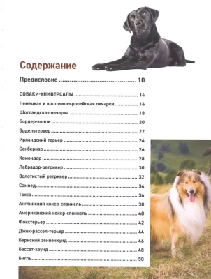 Все породы собак. Большая иллюстрированная энциклопедия- купить в магазине Кассандра, фото, 9785041130626, 
