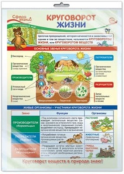 ПЛАКАТ А3 Окружающий мир в начальной школе. Круговорот жизни (в индивид.упак) - купить в магазине Кассандра, фото, 4630112015683, 