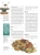 Я знаю всё!- купить в магазине Кассандра, 9785041026585, Я знаю всё!- купить в магазине Кассандра, фото, 9785041026585,