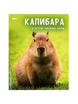Капибара и другие забавные звери. Энциклопедия. 197х255мм. 7БЦ. 48 стр. Умка в кор.15шт - купить в магазине Кассандра, фото, , 