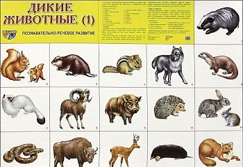 Демонстрационный плакат СУПЕР А2 Дикие животные (1) - купить в магазине Кассандра, фото, 9785994904930, 