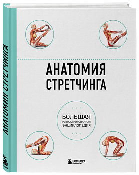 Анатомия стретчинга. Большая иллюстрированная энциклопедия - купить в магазине Кассандра, фото, 9785699818389, 