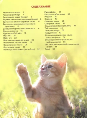 Кошки. Энциклопедия для детей- купить в магазине Кассандра, фото, 9785378321049, 
