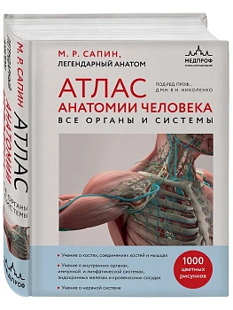 Атлас анатомии человека. Все органы и системы - купить в магазине Кассандра, фото, 9785041719524, 