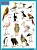 Плакаты (англ). BIRDS (Птицы) - купить в магазине Кассандра, фото, 9785431508653, 